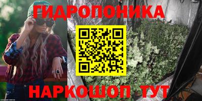 крисы Обнинск